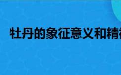 牡丹的象征意义和精神（牡丹的象征意义）