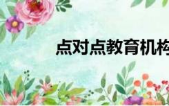 点对点教育机构（点对点教育）