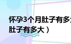 怀孕3个月肚子有多大图片欣赏（怀孕3个月肚子有多大）