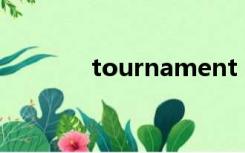 tournament rules什么意思
