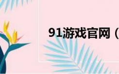 91游戏官网（91网游代理）