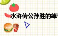 水浒传公孙胜的绰号（公孙胜的绰号）