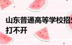 山东普通高等学校招生考试信息平台系统主页打不开
