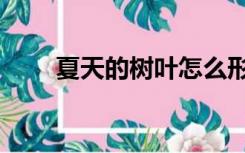 夏天的树叶怎么形容（夏天的树叶）