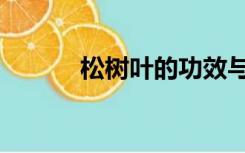 松树叶的功效与作用（松树叶）
