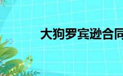 大狗罗宾逊合同（大狗罗宾逊）