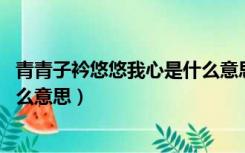 青青子衿悠悠我心是什么意思全诗（青青子衿 悠悠我心是什么意思）