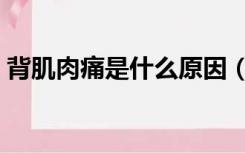 背肌肉痛是什么原因（背部肌肉疼痛的原因）
