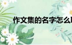 作文集的名字怎么取（作文集的名字）