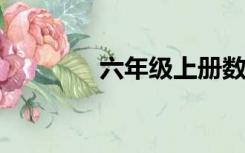 六年级上册数学复习练习题