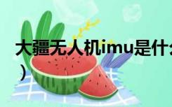 大疆无人机imu是什么意思（imu是什么意思）