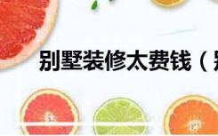 别墅装修太费钱（别墅装修如何省钱）