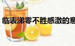 临表涕零不胜感激的意思（不胜感激的意思）