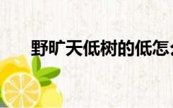 野旷天低树的低怎么读（野旷天低树）