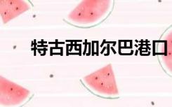 特古西加尔巴港口（古吉拉特邦港口）