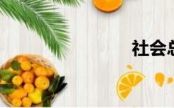 社会总需求