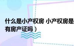 什么是小产权房 小产权房是什么意思（小产权房是什么意思有房产证吗）