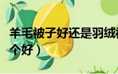 羊毛被子好还是羽绒被好（羊毛被和羽绒被哪个好）