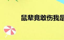 鼠辈竟敢伤我是谁说的（鼠辈）