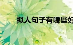 拟人句子有哪些好句子（拟人句子）