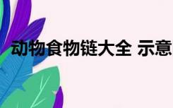 动物食物链大全 示意图（动物食物链图片）