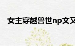 女主穿越兽世np文又和众男主穿回现代了