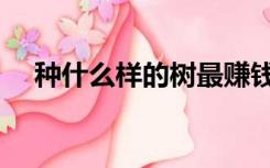 种什么样的树最赚钱（栽什么树最赚钱）