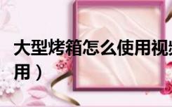 大型烤箱怎么使用视频教程（大型烤箱怎么使用）