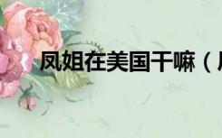 凤姐在美国干嘛（凤姐现在在美国干）