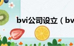 bvi公司设立（bvi公司是什么意思）