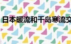 日本暖流和千岛寒流交汇的渔场（日本暖流）