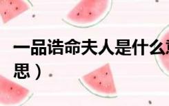 一品诰命夫人是什么意思（诰命夫人是什么意思）