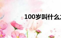 100岁叫什么之年（100岁）