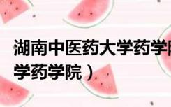 湖南中医药大学药学院是几本（湖南中医药大学药学院）