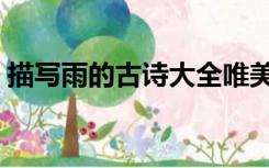 描写雨的古诗大全唯美（描写雨的古诗大全）