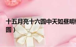 十五月亮十六圆中天如昼明镜悬是什么意思（十五月亮十六圆）