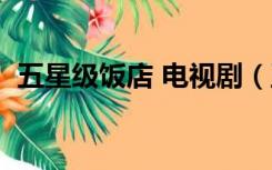 五星级饭店 电视剧（五星级大饭店电视剧）