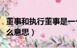 董事和执行董事是一个意思吗（执行董事是什么意思）