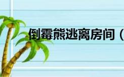 倒霉熊逃离房间（倒霉熊逃出房间）