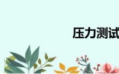压力测试装置图片
