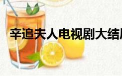 辛追夫人电视剧大结局（辛追夫人电视剧）