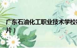 广东石油化工职业技术学校宿舍（广东石油化工学院宿舍图片）