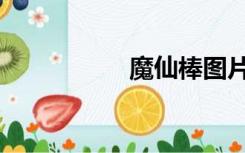 魔仙棒图片（魔仙棒）