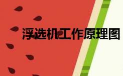 浮选机工作原理图（浮选机工作原理）