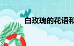 白玫瑰的花语和寓意（白玫瑰）