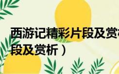 西游记精彩片段及赏析300字（西游记精彩片段及赏析）