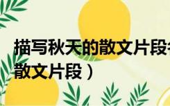 描写秋天的散文片段名篇与赏析（描写秋天的散文片段）