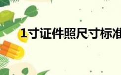 1寸证件照尺寸标准（1寸证件照尺寸）