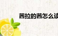 茜拉的茜怎么读（茜茜怎么读）