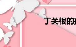 丁关根的孩子是谁？